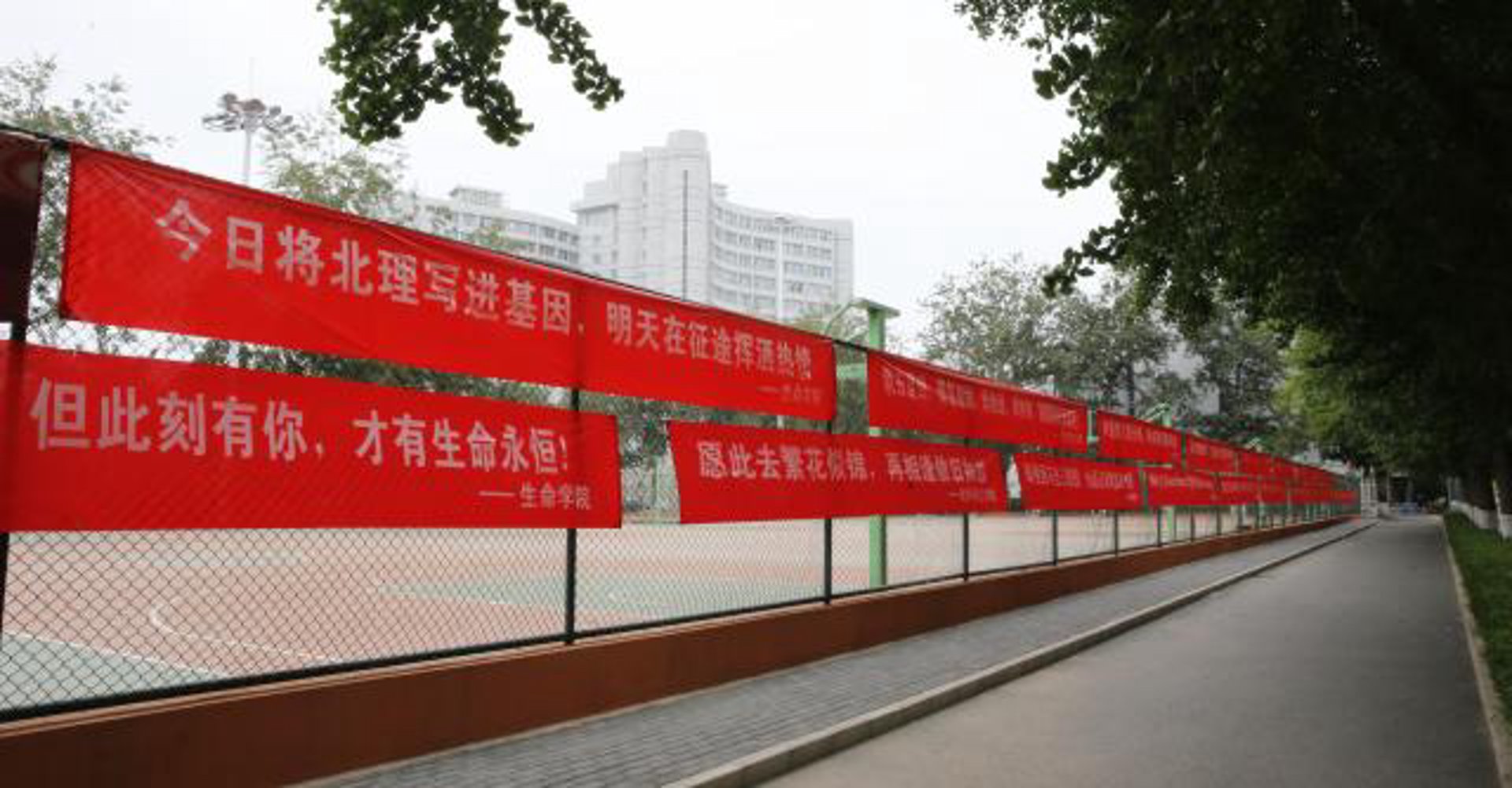 我要留学咨询